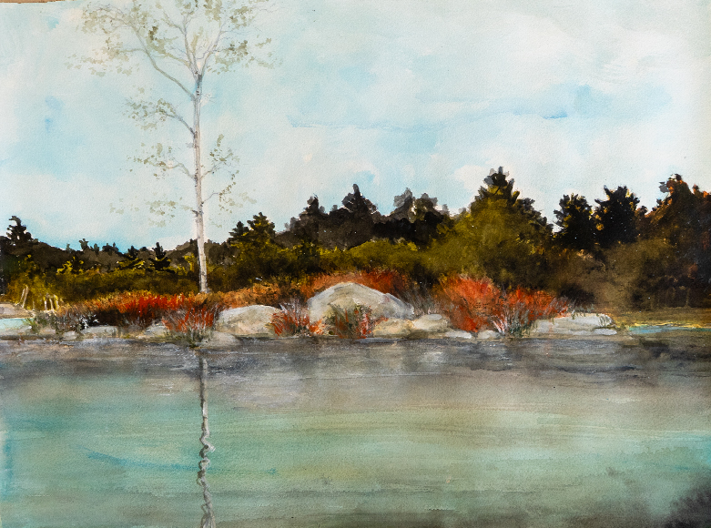 bluesky, lake, trees
